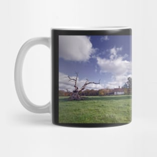 Cottage in the Forest Mug